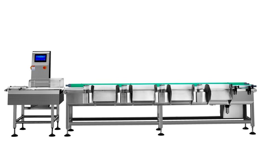 What is a Checkweigher and Why is it Important?
